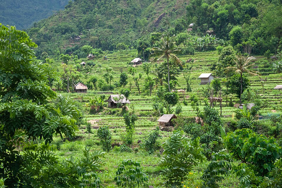 Bali